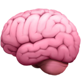brain on Apple apple preview