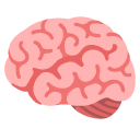 brain on Google google preview