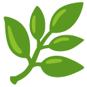 herb on Google google preview