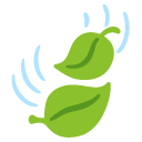leaf fluttering in wind on Google google preview