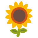 sunflower on Google google preview