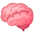 brain on Samsung samsung preview